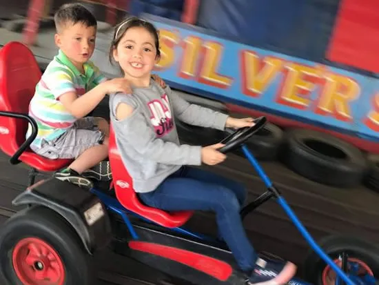 Dorset Heavy Horse Farm Park - Go Karting