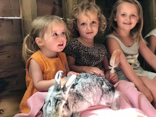 Dorset Heavy Horse Farm Park - Flemish giant rabbits