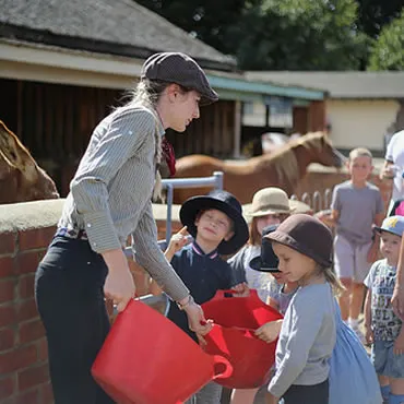 Dorset Heavy Horse Farm Park - Feeding the animals