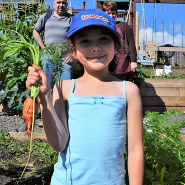 Dorset Heavy Horse Farm Park - Garden tour