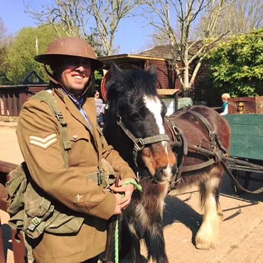 Dorset Heavy Horse Farm Park - Working the Heavy Horses