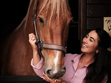 Dorset Heavy Horse Farm Park - Heavy Horses