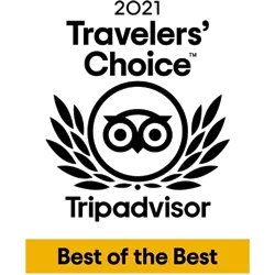 Dorset Heavy Horse Farm Park - TripAdvisor Traveller's Choice 2021