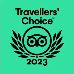 Dorset Heavy Horse Farm Park - TripAdvisor Traveller's Choice 2023