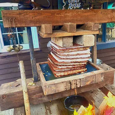 Dorset Heavy Horse Farm Park - Smokey Joe's Café