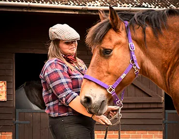 Dorset Heavy Horse Farm Park - Work and Volunteering Opportunities