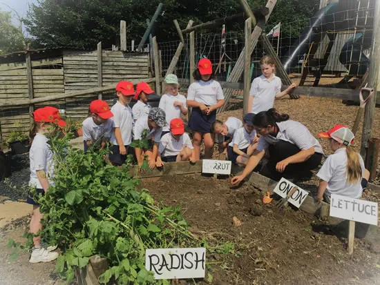 Dorset Heavy Horse Farm Park - Groups and Organisations