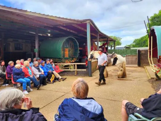 Dorset Heavy Horse Farm Park - Groups and Organisations