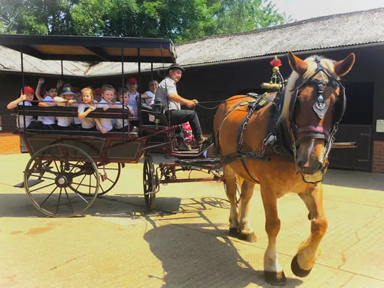 Dorset Heavy Horse Farm Park - Groups and Organisations