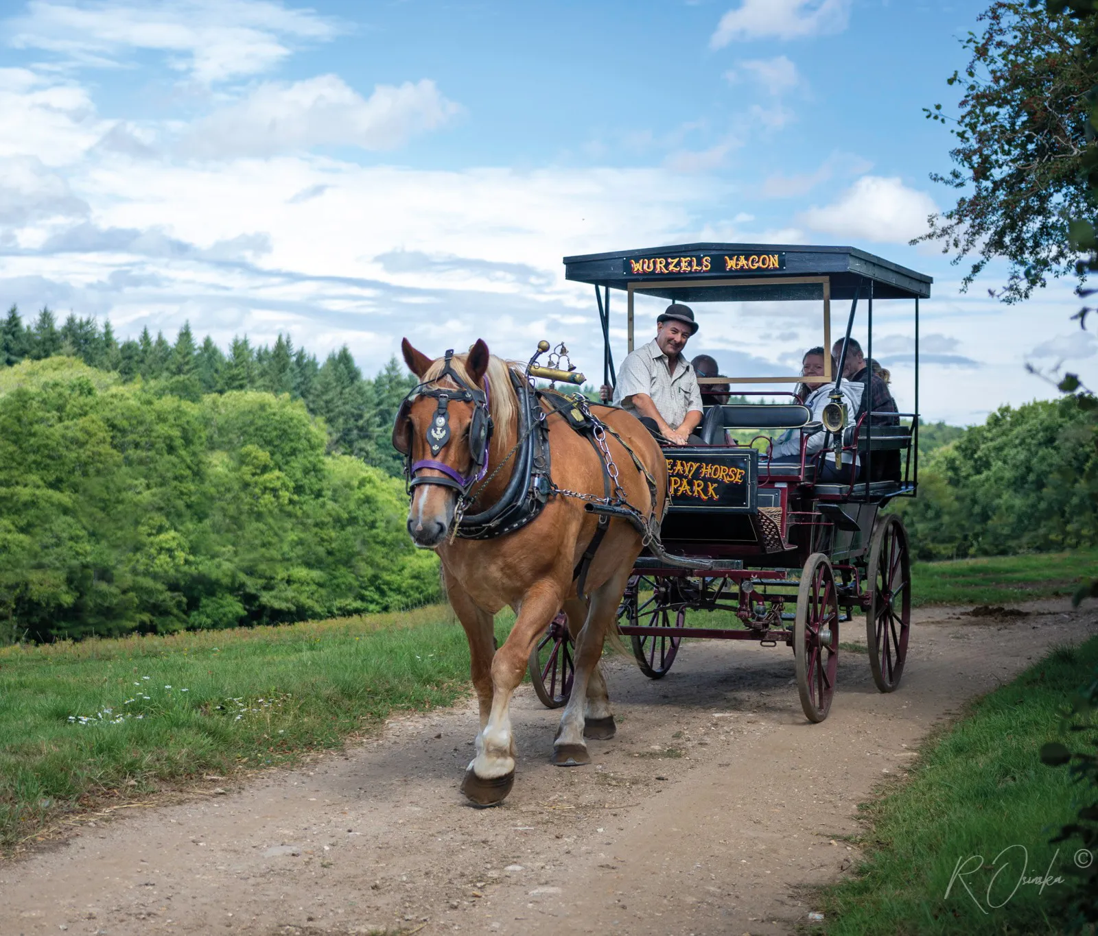 Katie with Orestes - Dorset Heavy Horse Farm Park