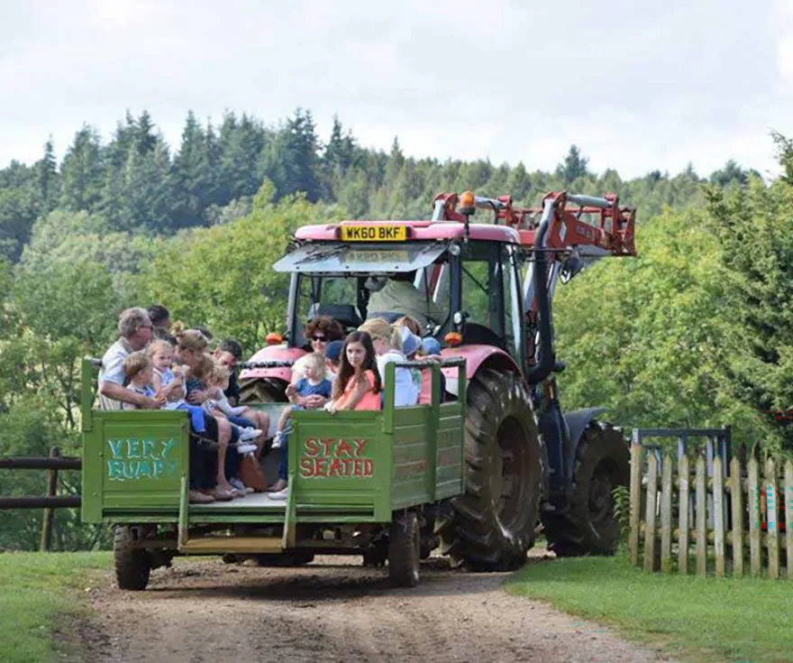 Heavy Horse drawn carriage rides - Dorset Heavy Horse Farm Park