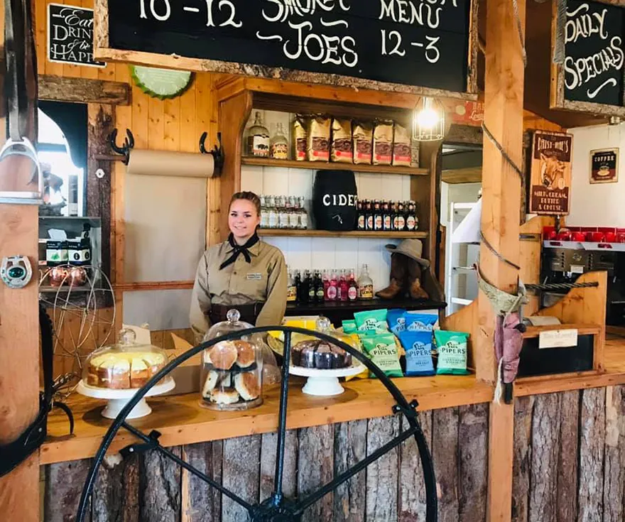 Heavy horses feeding in the field - Dorset Heavy Horse Farm Park