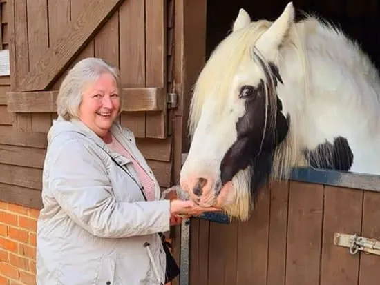 Dorset Heavy Horse Farm Park - Rascal