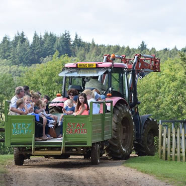 Dorset Heavy Horse Farm Park - Tractor rides