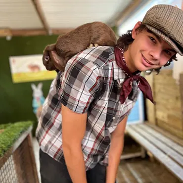 Dorset Heavy Horse Farm Park - Carriage rides