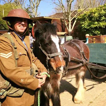 Dorset Heavy Horse Farm Park - War horses