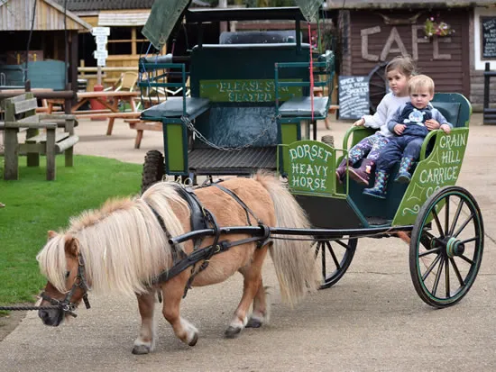 Buy Gift Vouchers - Dorset Heavy Horse Farm Park