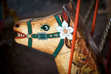 Dorset Heavy Horse Farm Park - Vintage Displays