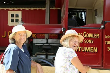Dorset Heavy Horse Farm Park - Vintage Displays