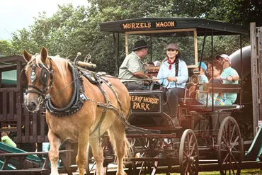 Dorset Heavy Horse Farm Park - Vintage Displays