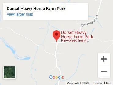 Dorset Heavy Horse Farm Park - How to Find Us