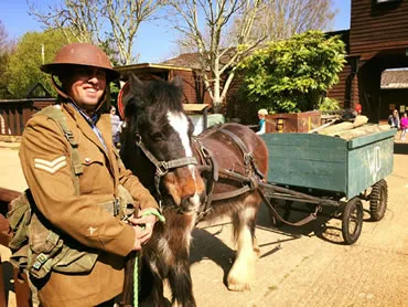 Dorset Heavy Horse Farm Park - Seasonal Events