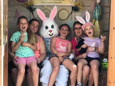 Dorset Heavy Horse Farm Park - Latest News