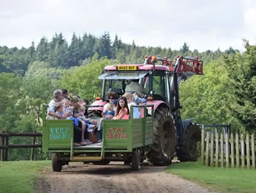 Dorset Heavy Horse Farm Park - Daily Schedule